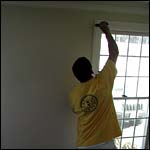 Kellys Painters